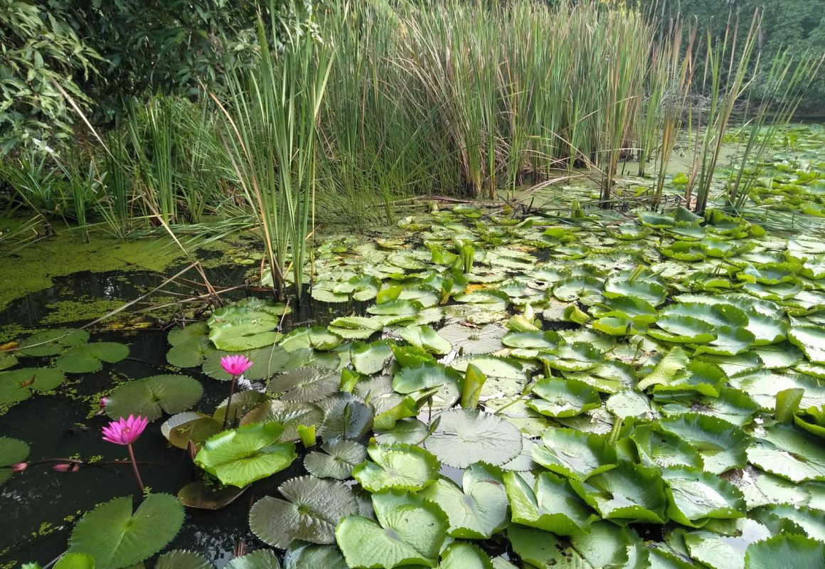 5 easy Habits for a more eco-friendly lifestyle