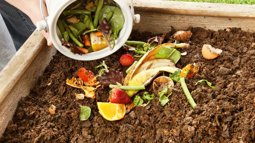 The ultimate guide to composting